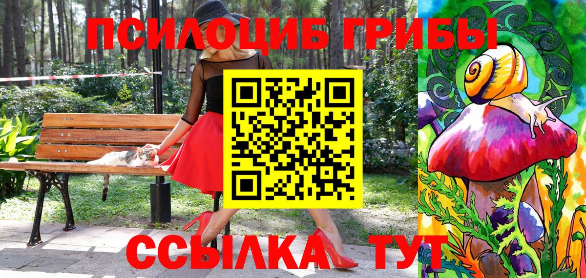 Псилоцибиновые грибы мицелий Избербаш