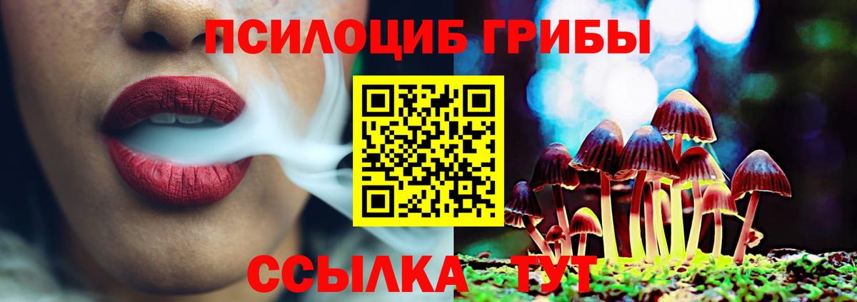 Избербаш  Псилоцибиновые грибы MAGIC MUSHROOMS  Вход с VPN 